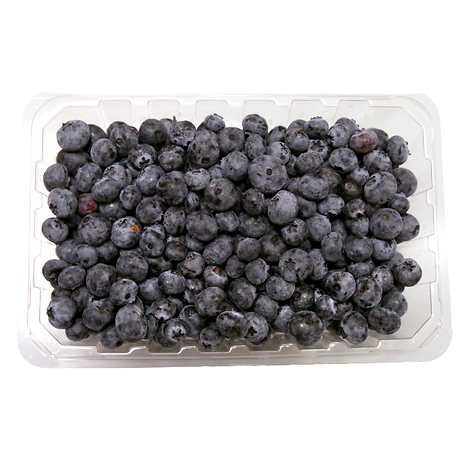 Organic Blueberries