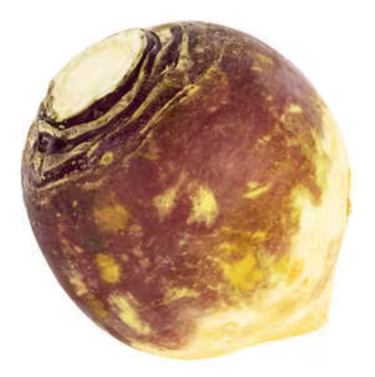 Rutabaga (10 lb)