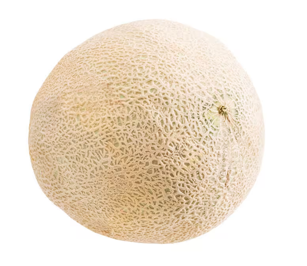 Cantaloupe