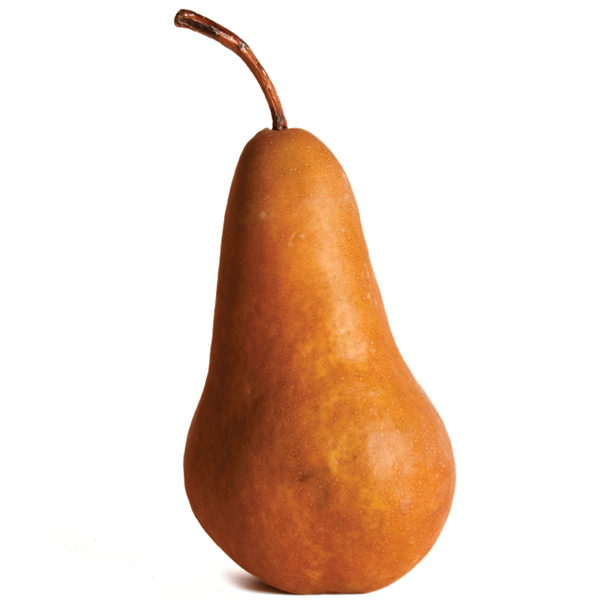 Bosc Pear