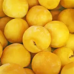Yellow Plums