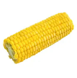 Fresh Sweet Corn