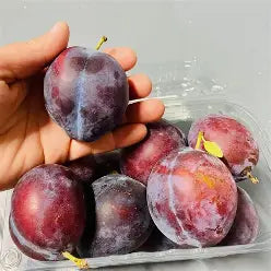 Family Farmed Blue Plums