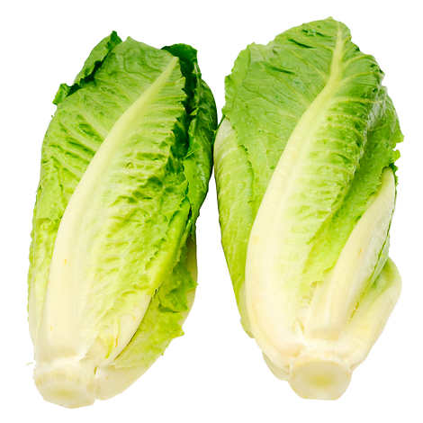 Romaine Hearts Pack of 6