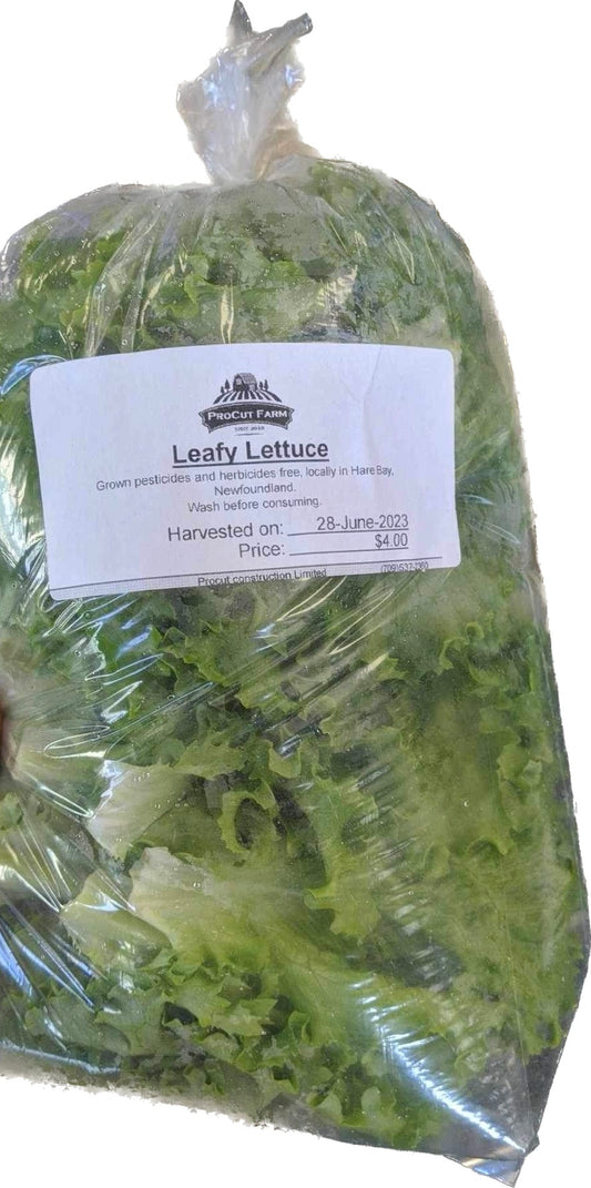 ProCut Farm Leafy Lettuce