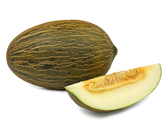 Piel de Sapo Melon