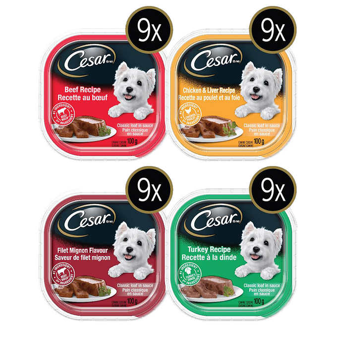 Cesar Classic Loaf in Sauce Soft Wet Dog Food Variety Pack
